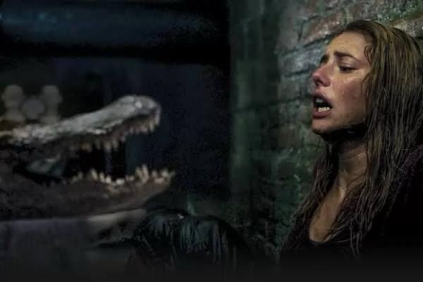 9 Filem Seram Thriller Bertemakan Serangan Buaya, Penuh Aksi Menggerunkan 5 d5f120d0 6536 4fad b3f4 f05c36347887