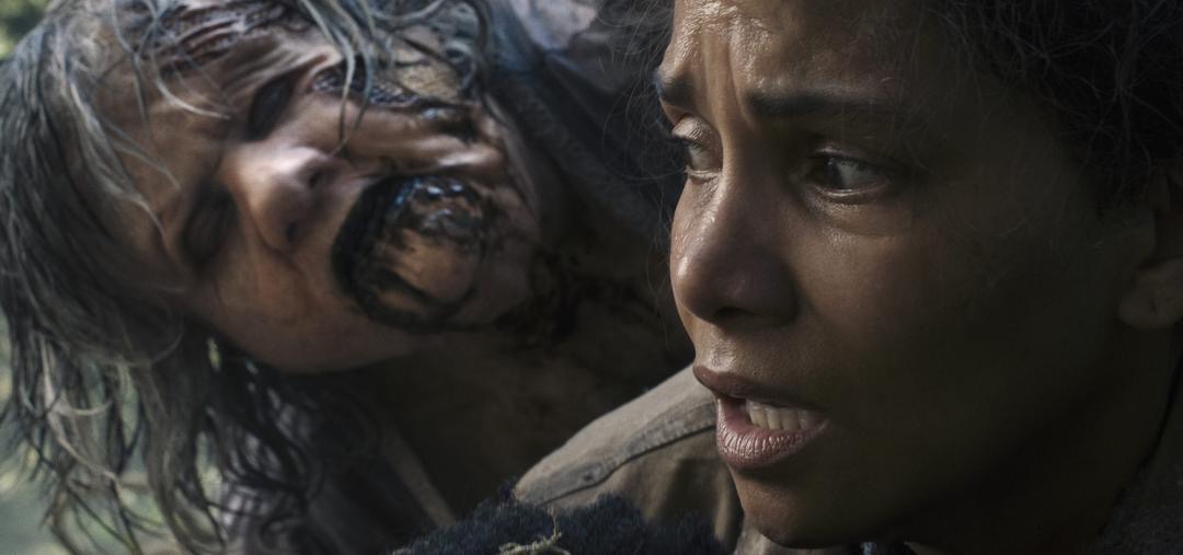 6 Filem Seram Paling Teruk Bagi Tahun 2024, Rating Buruk Rotten Tomatoes 1 79bff63b fb76 4d29 b228 35d271bb83f9