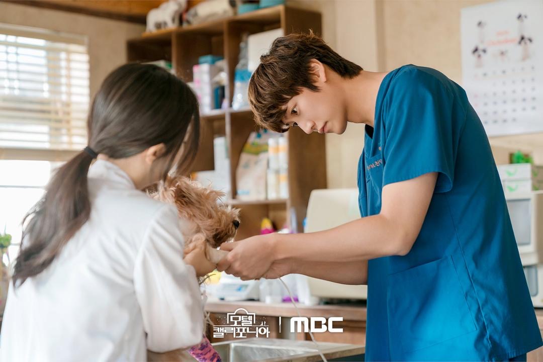 Na In Woo Jadi Pakar Veterinar Romantik Dalam Drama Baru “Motel California” 1 Na in woo