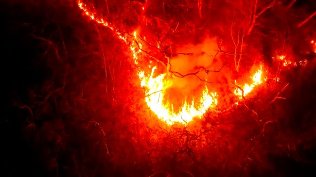 Korea Selatan Dilanda Kebakaran Besar, 4 Anggota Bomba Terkorban 1 Kebakaran