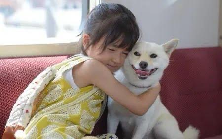 Senarai Filem Jepun Tentang Anjing yang Paling Menyentuh Hati dan Kisah Kesetiaan 1 Jepun