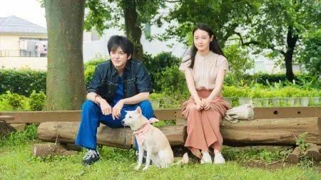 Senarai Filem Jepun Tentang Anjing yang Paling Menyentuh Hati dan Kisah Kesetiaan 10 Filem jepun