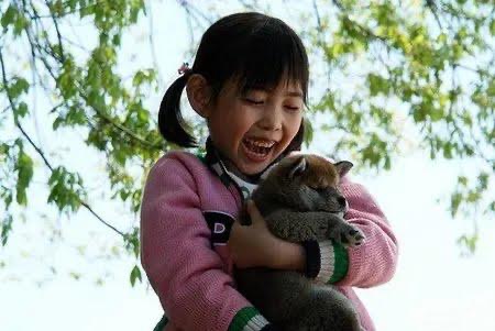 Senarai Filem Jepun Tentang Anjing yang Paling Menyentuh Hati dan Kisah Kesetiaan 5 8ff104a8 787c 4db0 ac2f 8c04782e8ec9