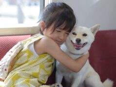Senarai Filem Jepun Tentang Anjing yang Paling Menyentuh Hati dan Kisah Kesetiaan