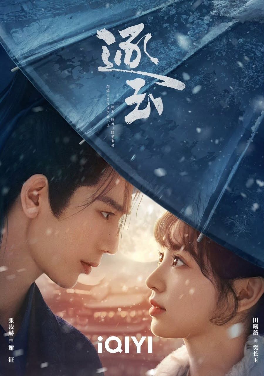 10 Episod Akhir “Pursuit of Jade” Bocor, Tencent & iQIYI Tekad Heret Pelaku ke Mahkamah 4 Pursuit Of Jade