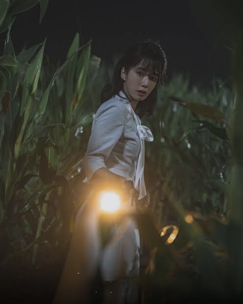 “The Scarecrow”: Drama Thriller Korea 2026 Penuh Misteri, Dendam dan Pemburuan 30 Tahun 2 The Scarecrow