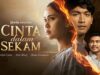 Cinta Dalam Sekam Viu: Kisah Cinta Lama Yang Kembali Membuka Rahsia Puluhan Tahun